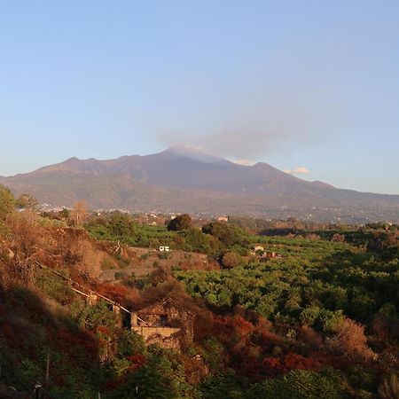 Il Pampaleone Glamping And Resort Acireale Exterior photo